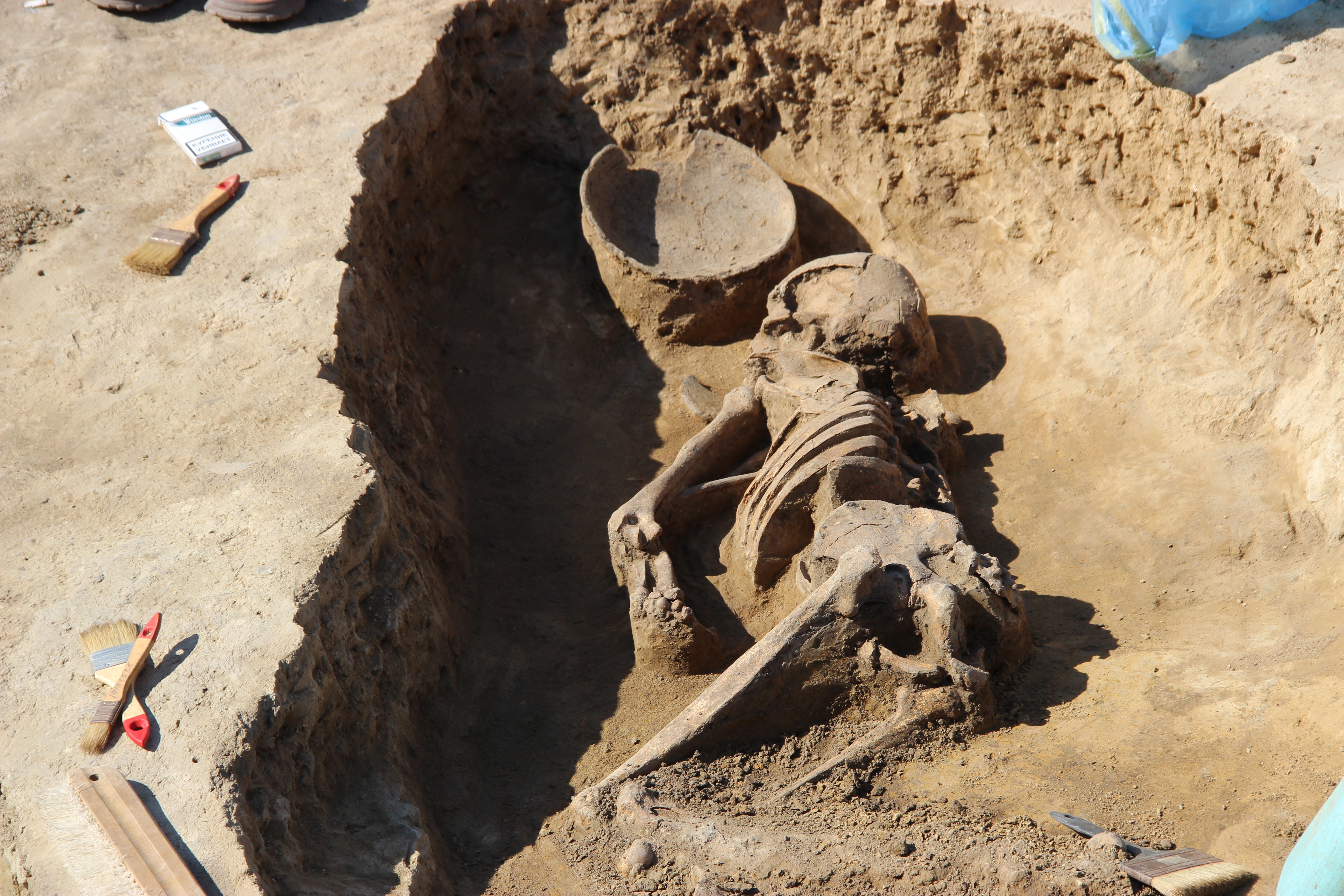 Скелет с миской, который обнаружили в прошлый раз